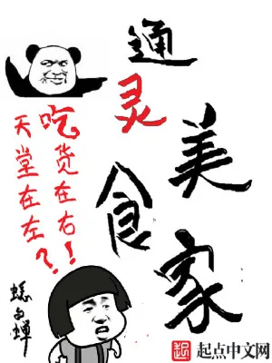 《通灵美食家》小说封面