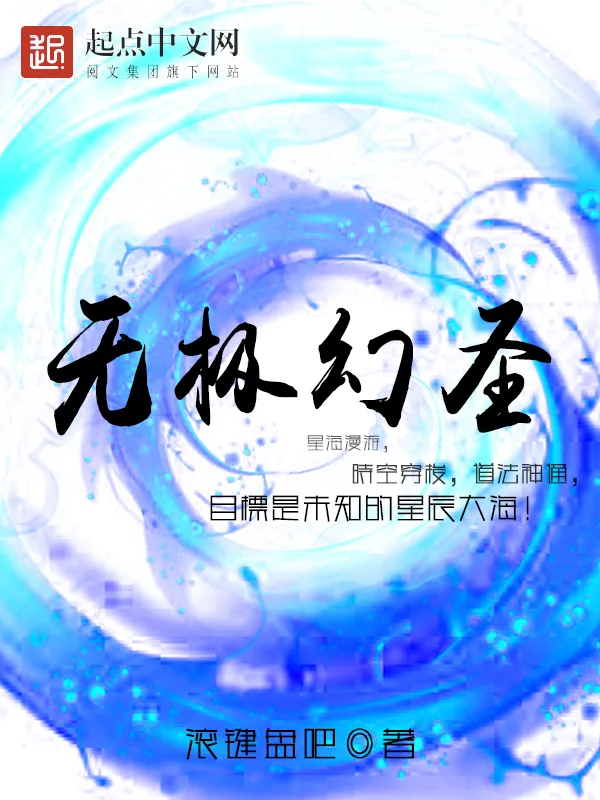 《无极幻圣》小说封面