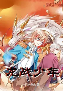 《龙战少年》小说封面