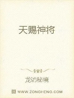 《天赐神将》小说封面