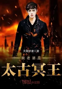 《我老婆是太古冥王》小说封面