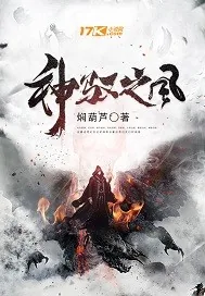 《神驭之风》小说封面