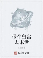 《带个皇宫去末世》小说封面