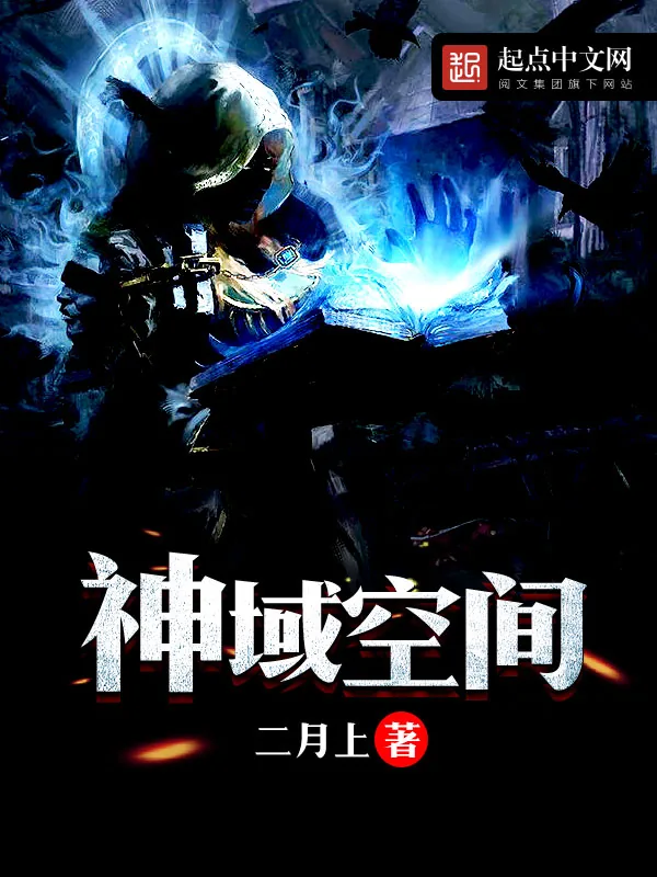 《神域空间》小说封面
