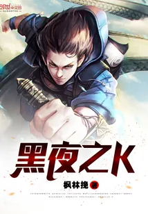 《黑夜之K》小说封面