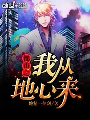 《都市之我从地心来》小说封面