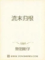 《流末归根》小说封面