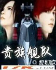 《贵族舰队》小说封面