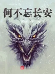 《何不忘长安》小说封面