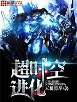 《超时空进化》小说封面