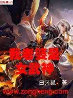 《我老婆是女武神》小说封面