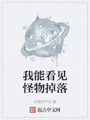 《我能看见怪物掉落》小说封面