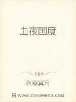 《血夜国度》小说封面