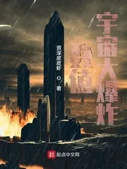 《数值宇宙大爆炸》小说封面