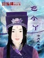 《包小丫》小说封面