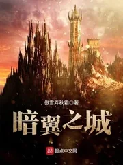 《暗翼之城》小说封面