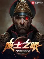 《废土之眼》小说封面