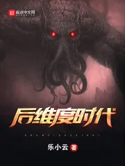 《后维度时代》小说封面