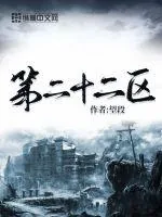 《第二十二区》小说封面