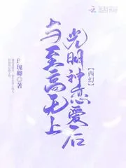 《与至高无上光明神恋爱后》小说封面