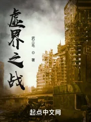 《虚界之战》小说封面