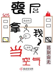 《丧尸拿我当空气》小说封面