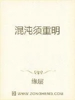 《混沌须重明》小说封面