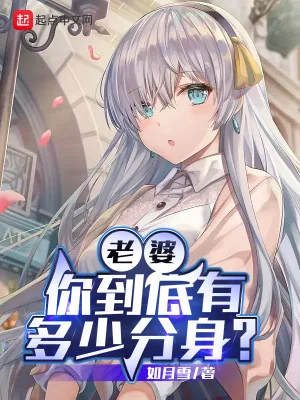 《老婆，你到底有多少分身？》小说封面