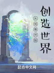 《从低维开始创造世界》小说封面
