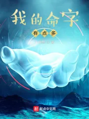 《我的命字有点多》小说封面