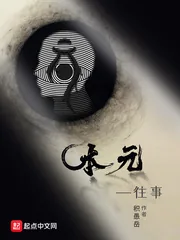 《本元1往事》小说封面