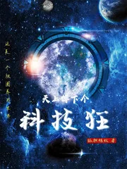 《天上掉下个科技狂》小说封面
