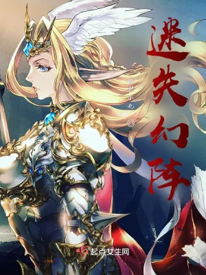 《迷失幻阵》小说封面