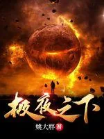 《极夜之下》小说封面
