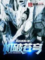 《机破苍穹》小说封面