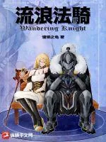 《流浪法骑》小说封面