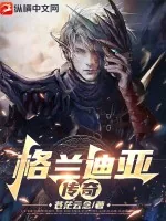 《格兰迪亚传奇》小说封面