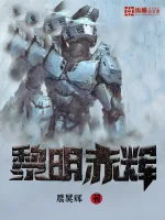 《黎明赤辉》小说封面