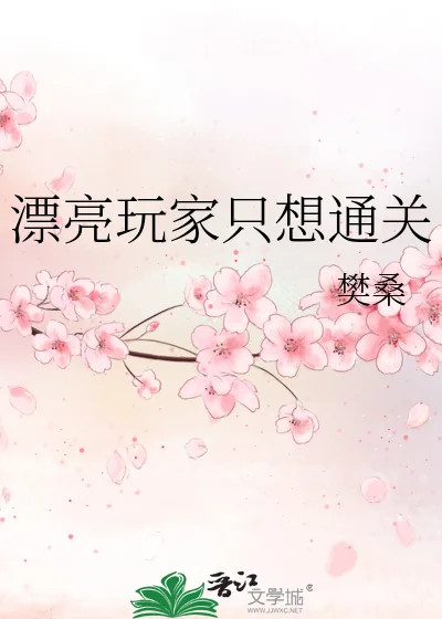 《漂亮玩家只想通关》小说封面