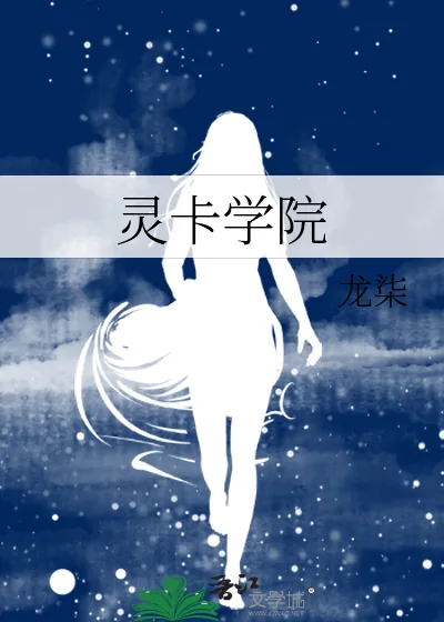 《灵卡学院》小说封面