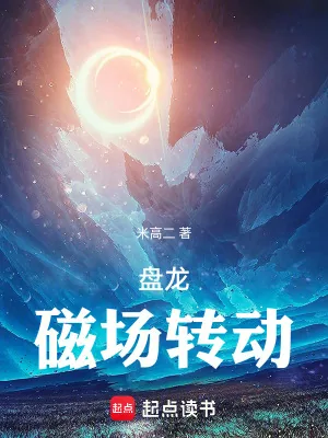 《盘龙，磁场转动》小说封面