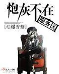 《炮灰不在服务区》小说封面