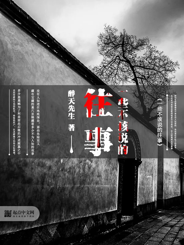 《一些不该说的往事》小说封面