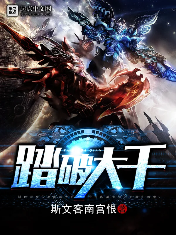 《踏破大千》小说封面