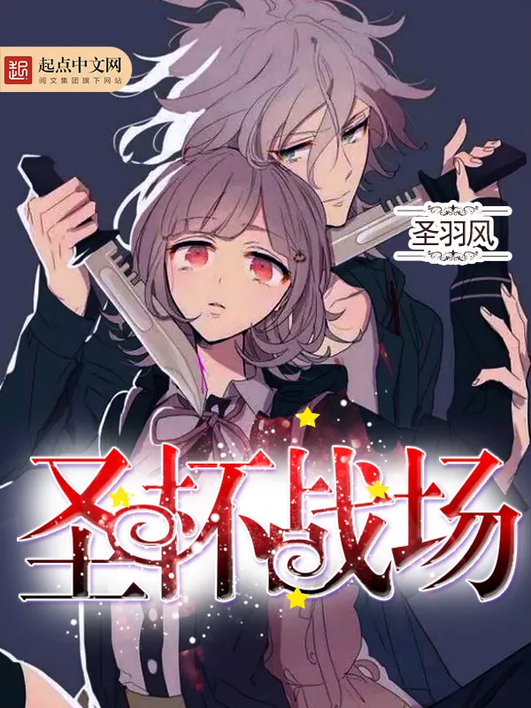 《圣杯战场》小说封面