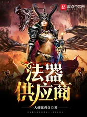 《法器供应商》小说封面