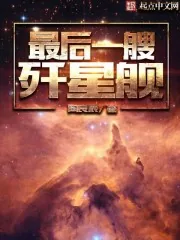 《最后一艘歼星舰》小说封面