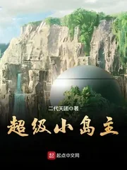 《超级小岛主》小说封面