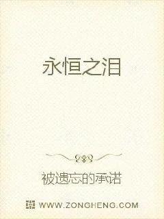 《永恒之泪》小说封面