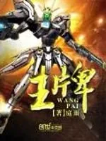《王牌》小说封面